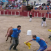 foto de los novillos